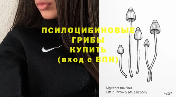 прущий лед Абаза
