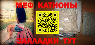 стаф Можга