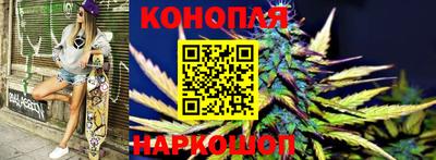 сатива Можайск