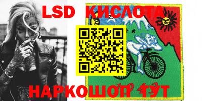 стаф Можга