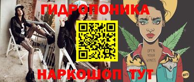 стаф Можга