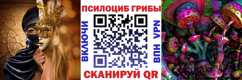Галлюциногенные грибы Psilocybine cubensis  Урус-Мартан 