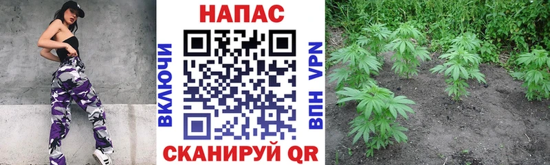 Марихуана марихуана  купить  сайты  Урус-Мартан 